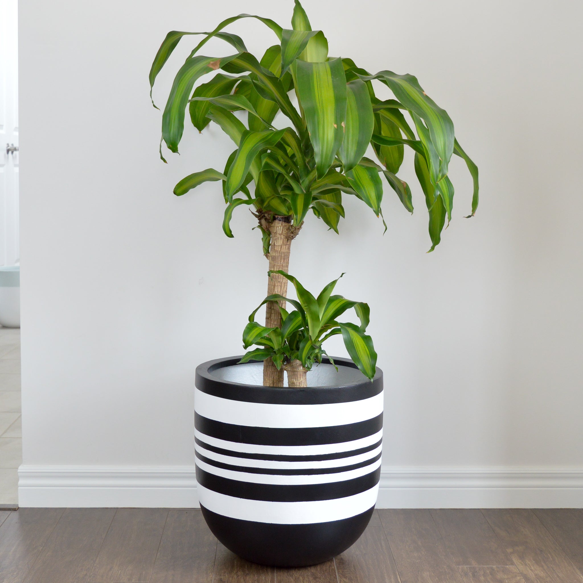 鉢・プランター neighborhood srl PLANT POT Barrel Stripe Indoor/Outdoor Planter | Hand-Painted Pot – Common