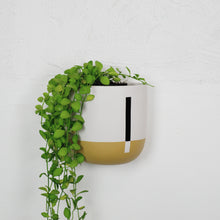 Connected Tall Wall Hanging Planters | Pots