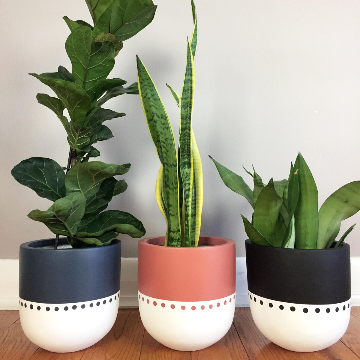 boho indoor plant pots Boho Planter
