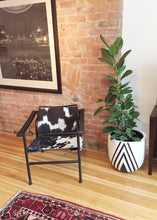 white and black diamond design planter pot with ficus Audrey plant next to cow hide print chair