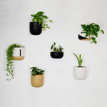 Connected Tall Wall Hanging Planters | Pots