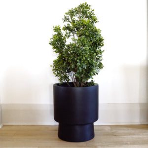 black planter with decorative tree sits on floor.