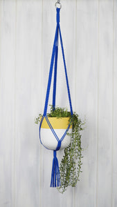 Royal Blue plant hanger with a Mustard rim planter with a white base