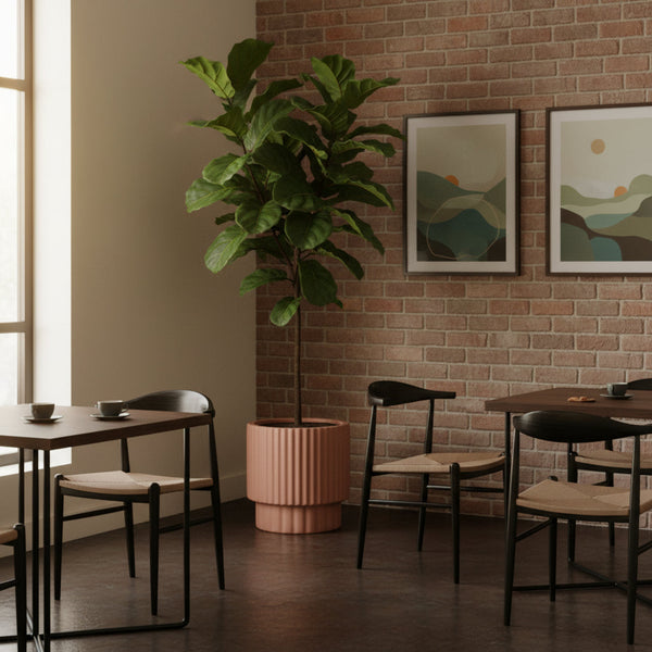 The Benefits of Having Plants in the Workspace