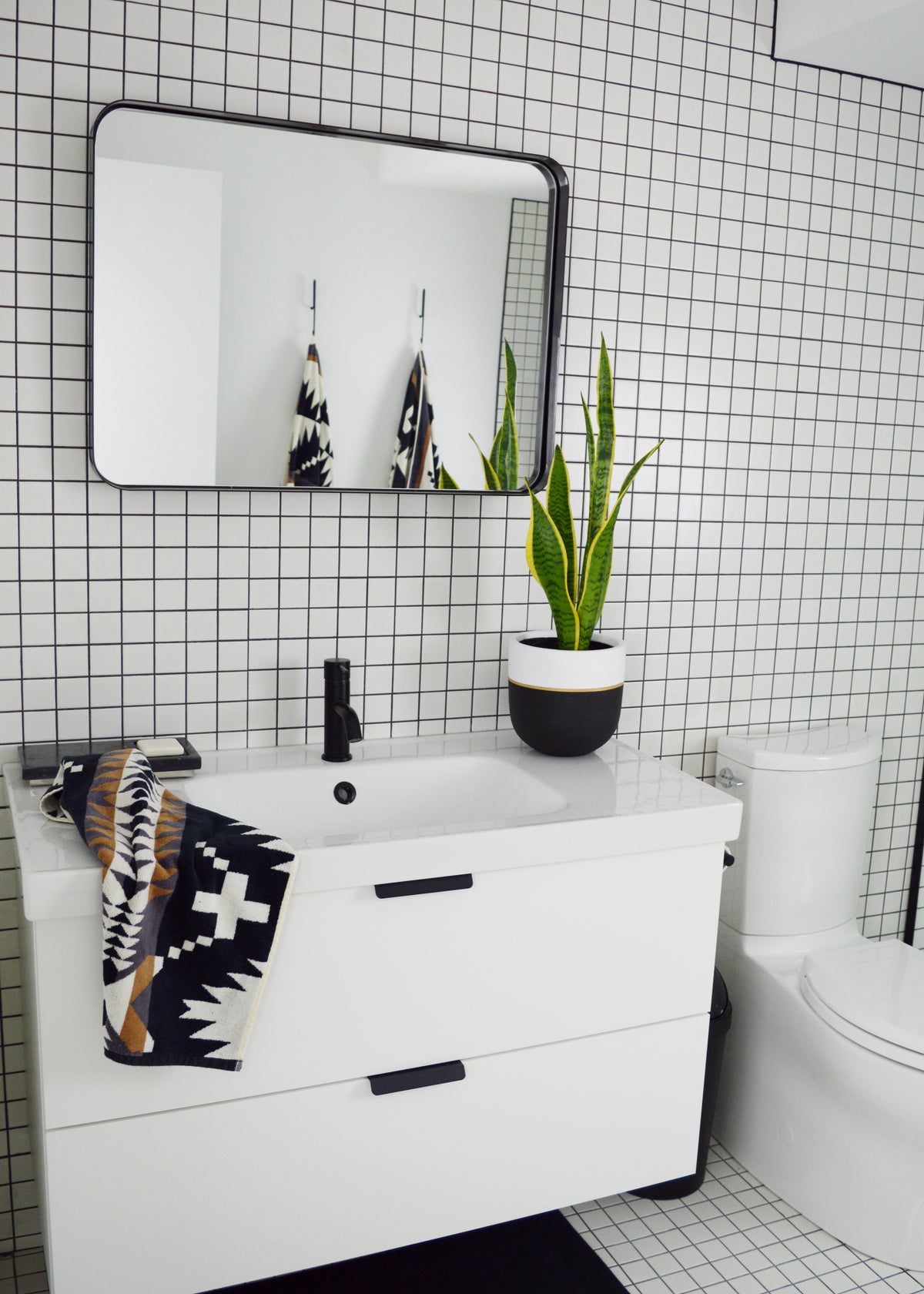 Best Bathroom Plants That Are Easy to Keep Alive