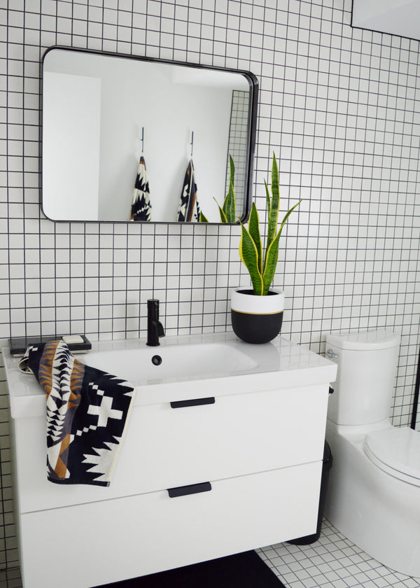 Best Bathroom Plants That Are Easy to Keep Alive
