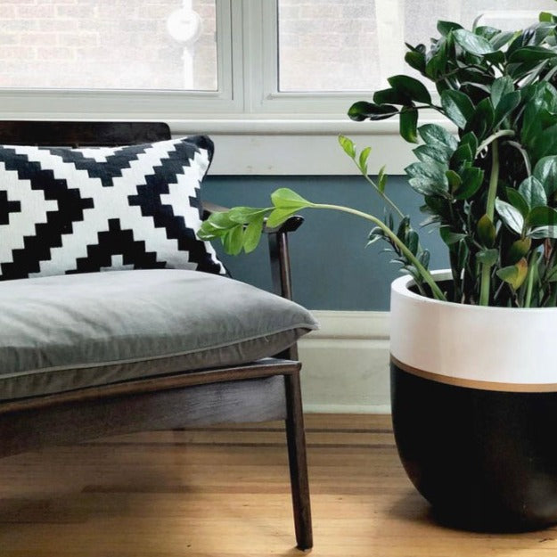 Gustavsberg Plantina 植木鉢　set 2 AUTUMN POTTING SESSION - Part two. It's time to begin planting