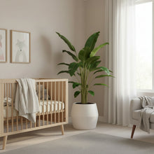 Nursery room with wooden crib, potted plant, and sofa.