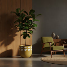 Green plant in a yellow pot next to a wooden chair in a room with a dark wall.