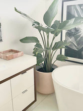 ESSENTIAL POT BAKED CLAY | PLANTER