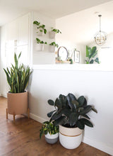 GALA POT | PLANTER