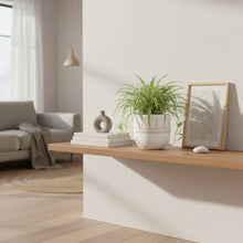 Modern living room with a wooden console table, potted plant, and books.