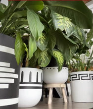 REIGN POT BLACK | PLANTER