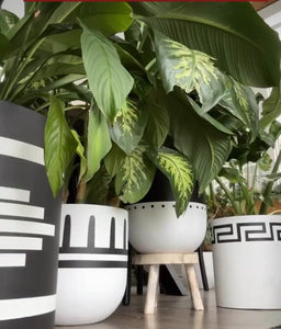 REIGN POT BLACK | PLANTER
