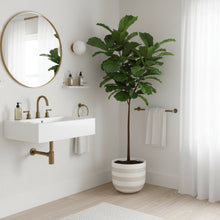 Modern bathroom with a plant, sink, and mirror.