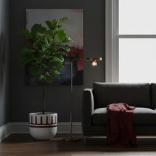Modern living room with a plant, lamp, and sofa.