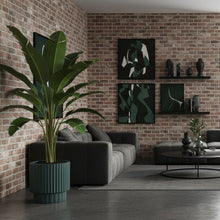 Modern living room with gray sectional sofa, plant, and brick wall.
