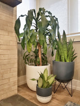 ESSENTIAL POT FRENCH NAVY | PLANTER