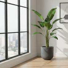 Modern room with a large window, potted plant, and wooden coffee table.