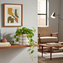 Living room with a plant on a shelf, abstract art, and a chair.