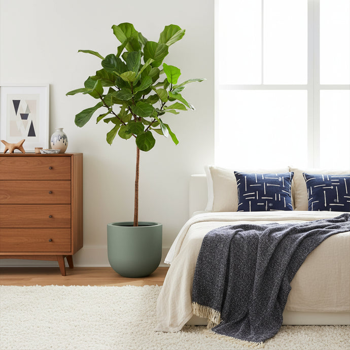 Modern bedroom with a bed, dresser, and potted plant.