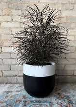BONEILL POT BLACK | PLANTER