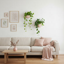 Modern living room with a beige sofa, wooden coffee table, blush pink hanging planters and wall art.