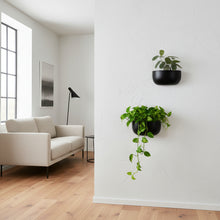 Modern living room with minimalist decor featuring five black wall-hanging planters with lush green plants, a mid-century armchair, concrete coffee table, and large window with natural light