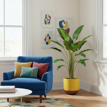 Tamra Planter