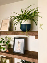 BONEILL POT FRENCH NAVY | PLANTER
