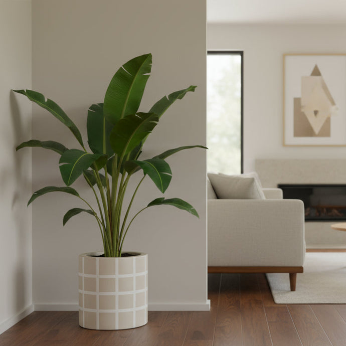 Modern living room with a plant, sofa, and fireplace.
