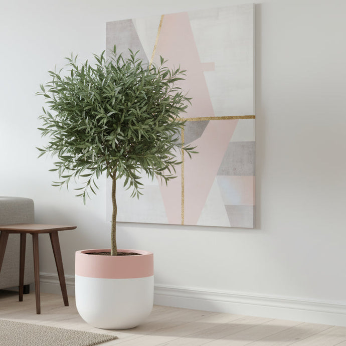 Modern living room with a white sofa, coffee table, side table, and potted plant.