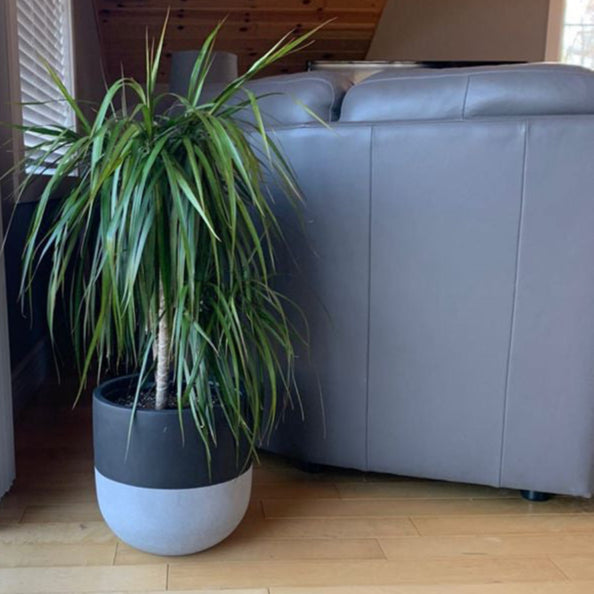 split pot planter Split Planter