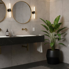 Modern bathroom with a sink, mirror, plant, and towel.
