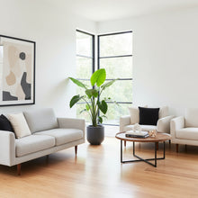 Modern living room with a sofa, coffee table, and plant