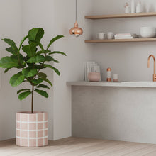 Potted plant in a modern kitchen with neutral decor