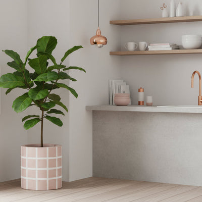 Grid Cylinder Planter