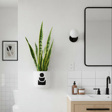 Modern bathroom with a plant, sink, and mirror