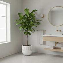 Bathroom with a potted plant near a window