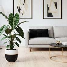 Modern living room with a gray sofa, plant, and abstract art on the wall.