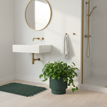 Bathroom interior with a plant, green rug, and shower area.