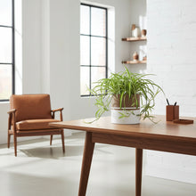 Modern office setup with a wooden desk, chair, and plant in a bright room.