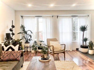 NETTE POT WHITE | PLANTER
