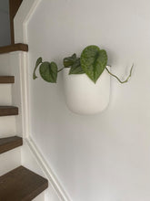 SOLID TALL WALL PLANTER WHITE | POT