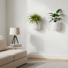 Modern living room with a beige sofa, gray rug, and wall-mounted plants.