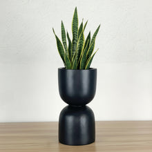 Black planter with a snake plant on a wooden surface against a white wall