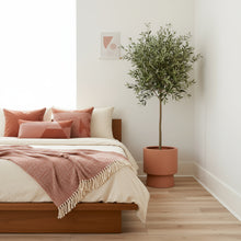 Bedroom with wooden bed, pink bedding, and a potted plant.