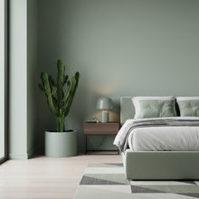 Modern bedroom with a cactus plant, bed, and nightstand.