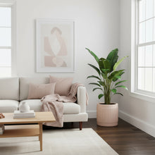 Fluted Cylinder Pots | Planters