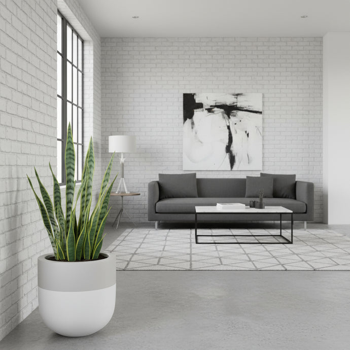 Modern living room with a gray sofa, plant, and abstract art on a white brick wall.